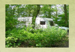 Picture of Strawberry Wood Caravan Park, Cheshire, Central North England
