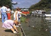 Picture of Moss Wood Caravan Park, Lancashire