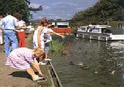 Picture of Moss Wood Caravan Park, Lancashire