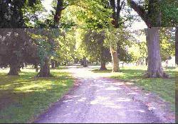 Picture of Hendwr Caravan Park, Denbighshire Picture of Hendwr Caravan Park, Denbighshire