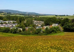 Picture of Peppermint Park, Devon, South West England
