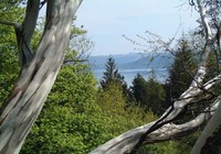 Picture of Lochgilphead Caravan Park, Argyll &amp; Bute