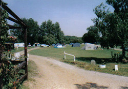 Picture of The Elms Caravan & Camping, London, South East England