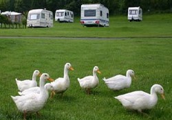 Picture of Highburn House Country Holiday Park, Northumberland