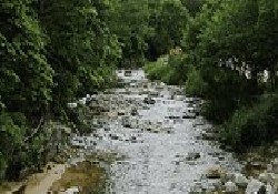 Picture of Augill Beck Caravan Park, Cumbria