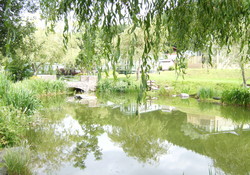 Picture of Pale Wood Holiday Park, Gwynedd, Wales