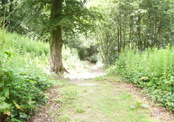 Picture of Pale Wood Holiday Park, Gwynedd, Wales
