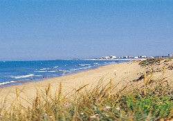 Picture of Cap Natur Vendee, Vendée
