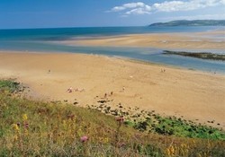 Picture of Glan Gors Coast and Country Park, Isle of Anglesey, Wales