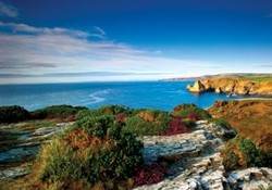 Picture of Bossiney Farm Caravan Park, Cornwall, South West England