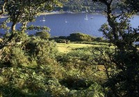 Picture of Lochranza C&amp;C Isle of Arran, North Ayrshire