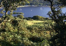 Picture of Lochranza C&C Isle of Arran, North Ayrshire