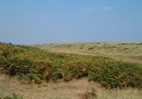 Winterton Valley