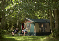 Picture of Haltwhistle Camping and Caravanning Club Site, Northumberland