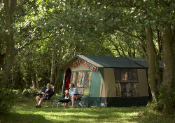 Picture of Haltwhistle Camping and Caravanning Club Site, Northumberland