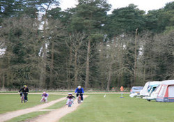 Picture of Thetford Forest Camping and Caravanning Club Site, Norfolk, East England