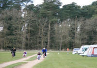 Picture of Thetford Forest Camping and Caravanning Club Site, Norfolk, East England