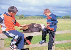 Picture of Stoneleigh Holiday & Leisure Village, Devon