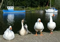 Picture of Six Mile Water Caravan Park, Antrim