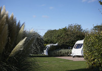 Picture of Ross Park, Devon, South West England