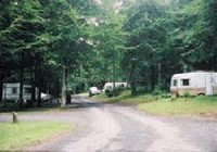 Picture of Coillte Forest Park, Limerick