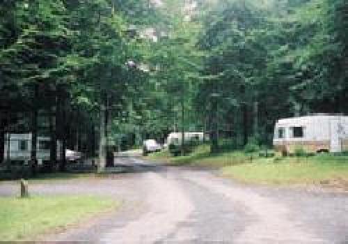 Picture of Coillte Forest Park, Limerick