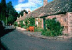 Picture of Gourdon Caravan Park, Angus