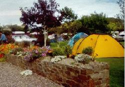 Picture of The Meadow Camping Park, Cork