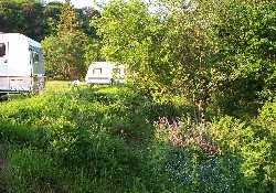 Picture of Seldom Seen Caravan Park, Northumberland