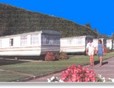 Picture of Saltern Caravan Park, Pembrokeshire Picture of Saltern Caravan Park, Pembrokeshire