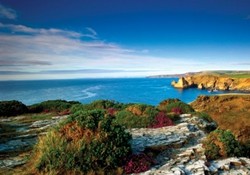 Picture of Ocean Cove Holiday Park, Cornwall, South West England