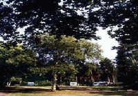 Picture of Round Plantation Caravan Club Site, Suffolk