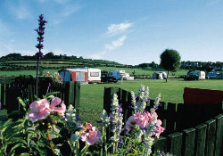 Picture of Salisbury Camping and Caravanning Club Site, Wiltshire
