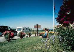 Picture of Salisbury Camping and Caravanning Club Site, Wiltshire Picture of Salisbury Camping and Caravanning Club Site, Wiltshire