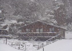 Park in snow 2nd feb 2009 013