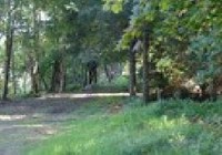 Picture of Windsor Holiday Park, Ayrshire