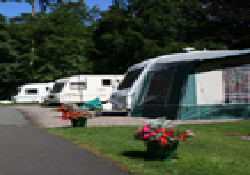 Picture of Balbirnie Park Caravan Club Site, Fife, Scotland Picture of Balbirnie Park Caravan Club Site, Fife, Scotland