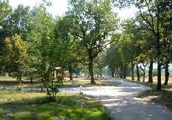 Picture of Domaine de Miraval, Tarn