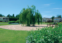 Picture of The Willows, Gloucestershire, Central South England
