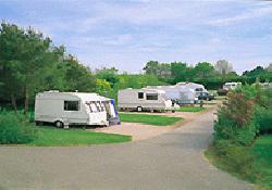 Picture of Black Horse Farm Caravan Club Site, Kent