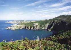 Picture of West Angle Bay Caravan Park, Pembrokeshire