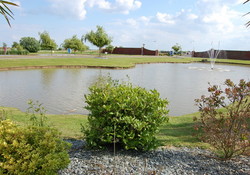 Picture of Southview Leisure Park, Lincolnshire, Central North England