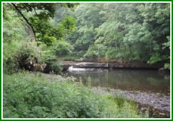 Picture of Cragside Caravan Park, Durham Picture of Cragside Caravan Park, Durham