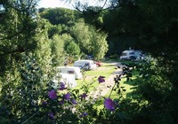 Picture of Two Mills Touring Park, Norfolk