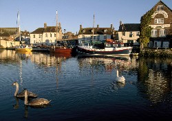 Picture of Lookout Holiday Park, Dorset Picture of Lookout Holiday Park, Dorset