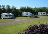 Picture of River Valley Caravan And Camping Park, Wicklow