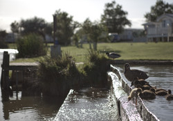 Picture of Sand-le-Mere Caravan Park, East Riding Yorkshire, North of England