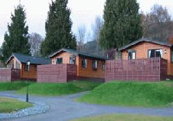 Picture of Faskally Caravan Park, Perth & Kinross