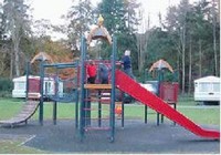Picture of Faskally Caravan Park, Perth &amp; Kinross