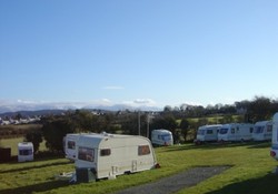 Bodafon Top Field